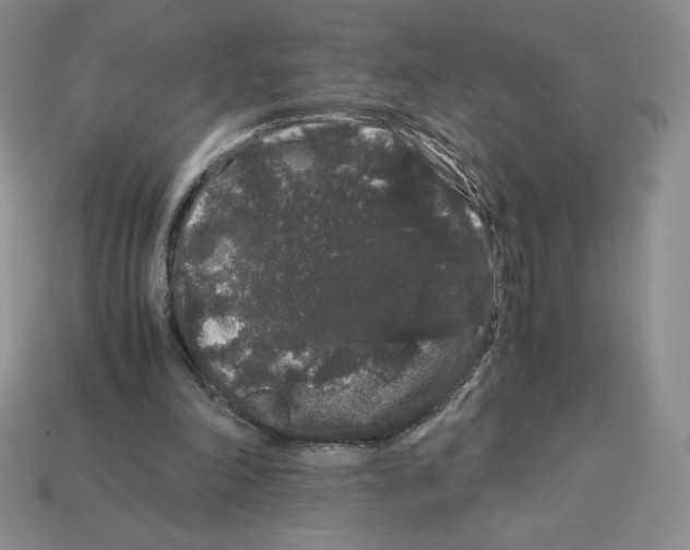X0000112900198200910021441
