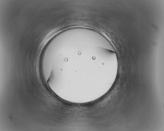 X0000112900199200910021441