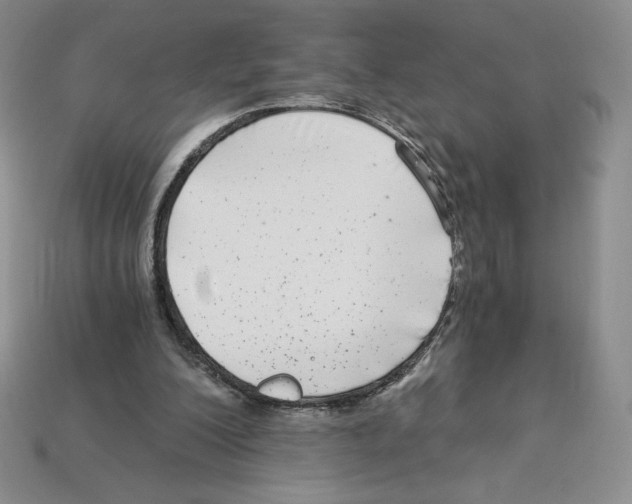 X0000112900200200910021441