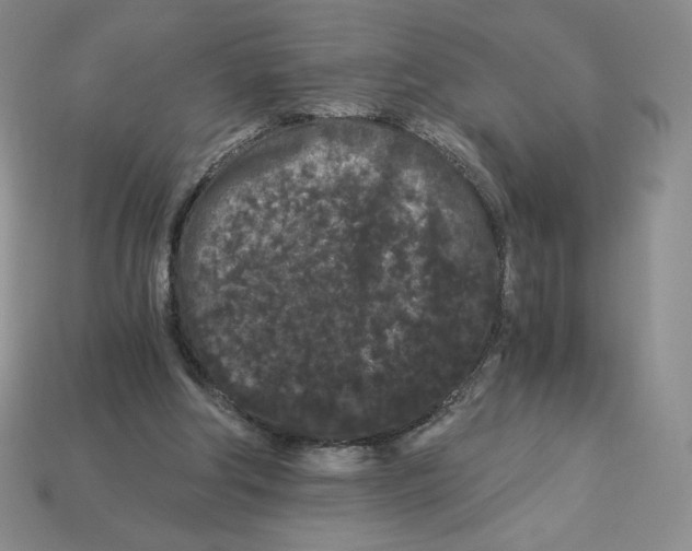 X0000112900202200910021441
