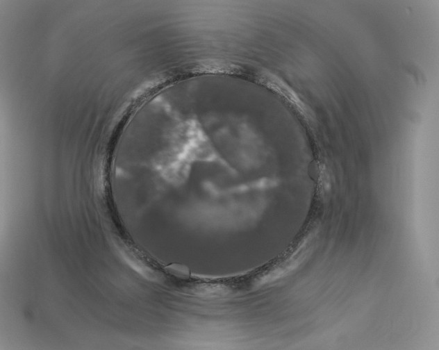X0000112900203200910021441