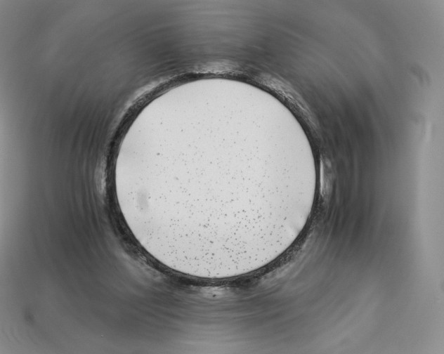 X0000112900204200910021441