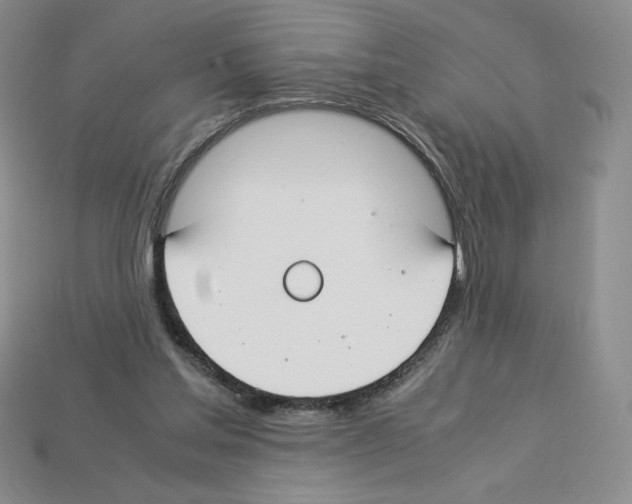 X0000112900205200910021441