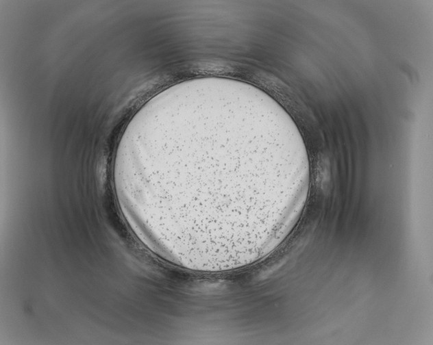 X0000112900206200910021441