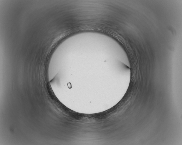X0000112900207200910021441