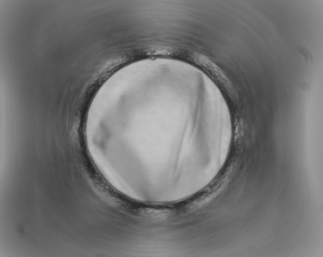 X0000112900209200910021441