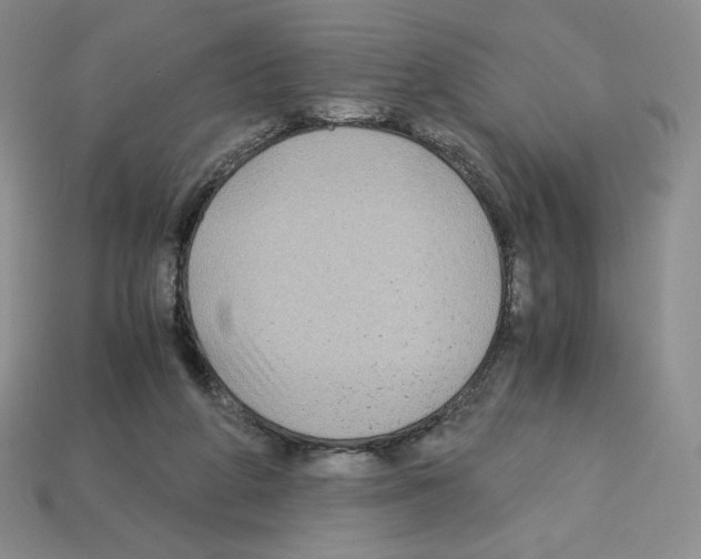 X0000112900210200910021441