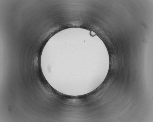 X0000112900212200910021441