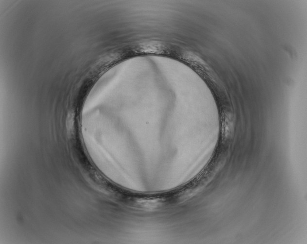 X0000112900213200910021441