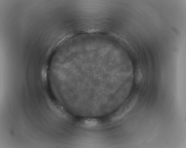 X0000112900214200910021441
