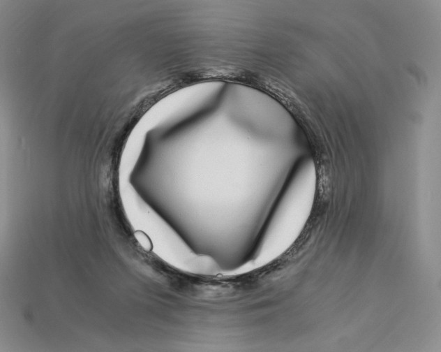 X0000112900215200910021441