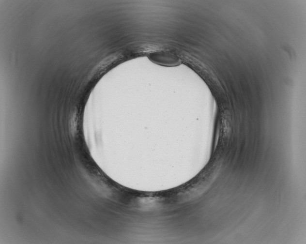 X0000112900216200910021441