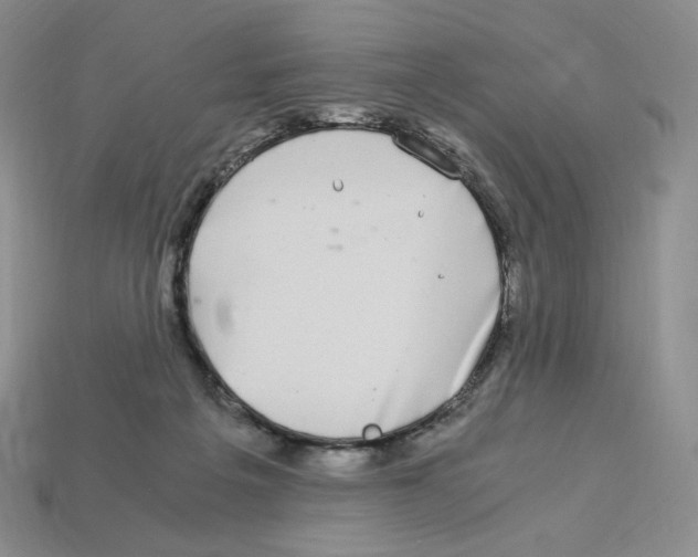 X0000112900217200910021441