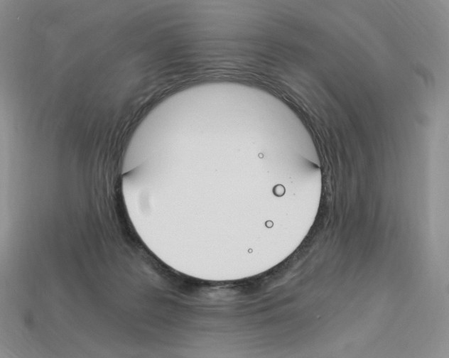 X0000112900219200910021441