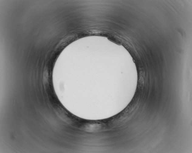 X0000112900220200910021441