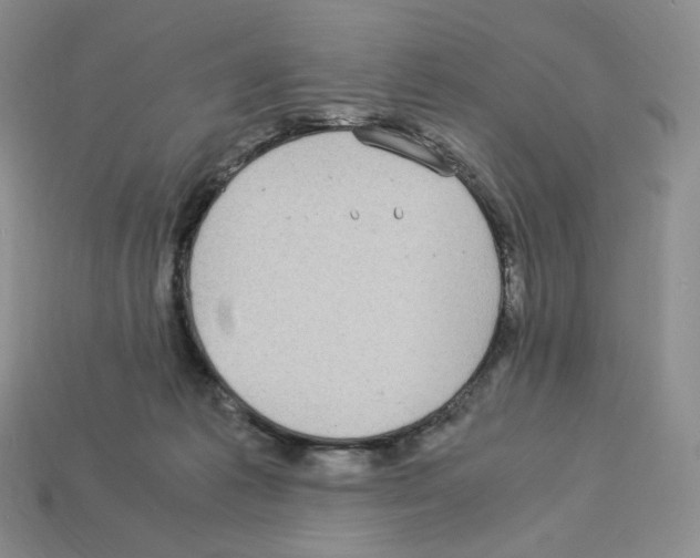 X0000112900221200910021441