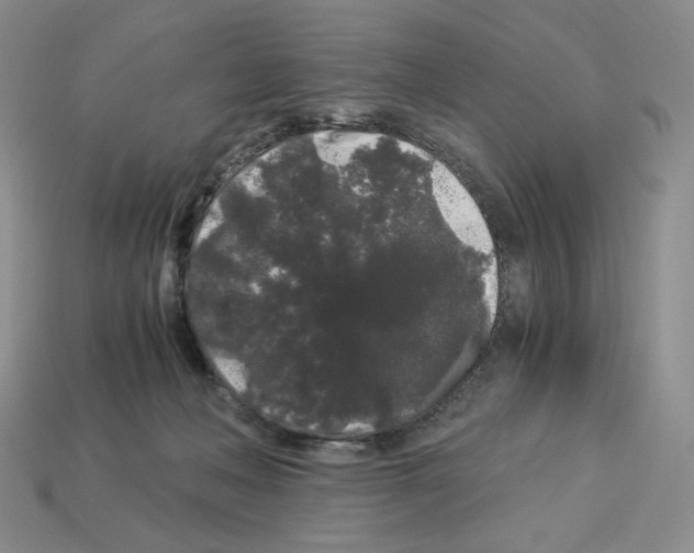 X0000112900222200910021441