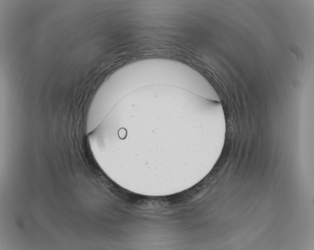 X0000112900223200910021441