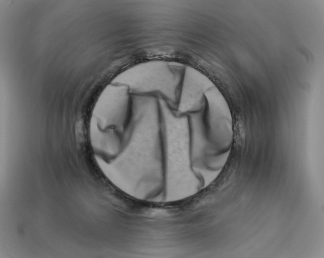 X0000112900224200910021441