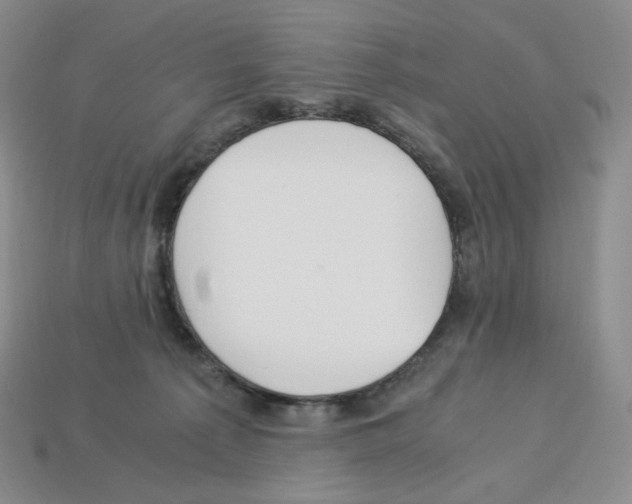 X0000112900225200910021441