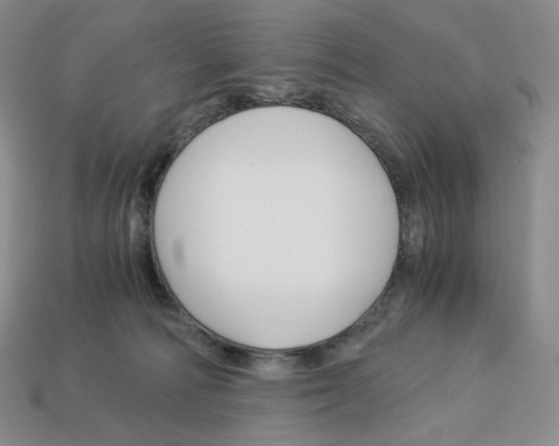 X0000112900226200910021441