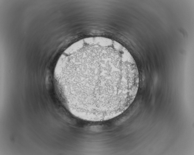 X0000112900228200910021441