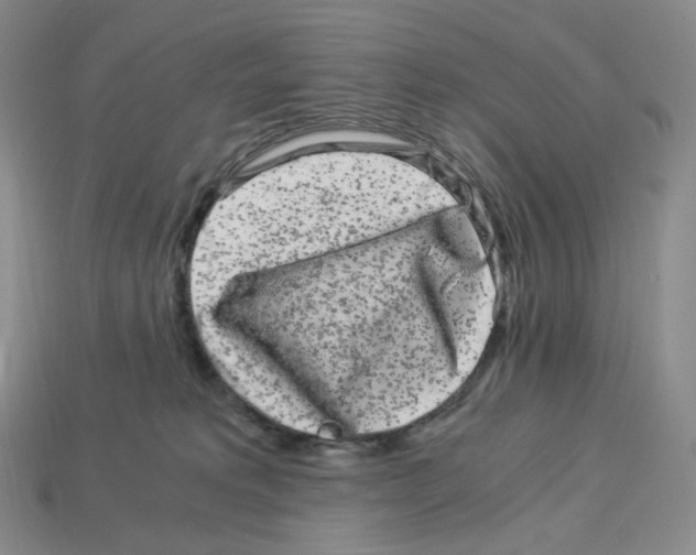 X0000112900229200910021441