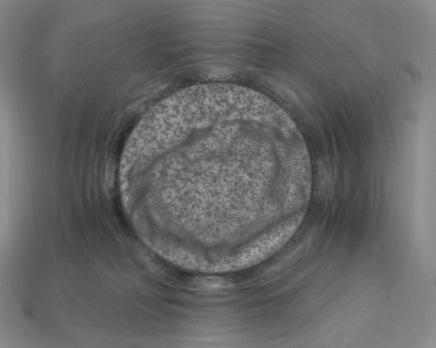 X0000112900230200910021441