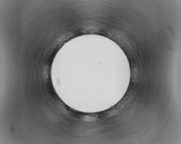 X0000112900232200910021441