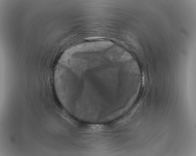 X0000112900233200910021441