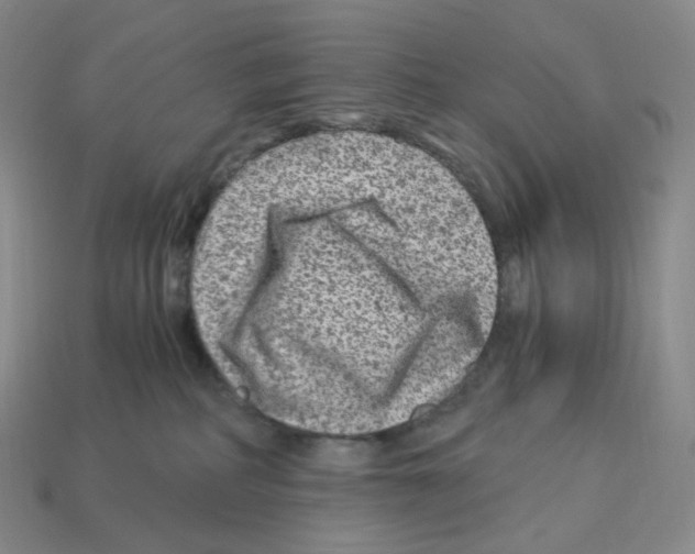 X0000112900234200910021441