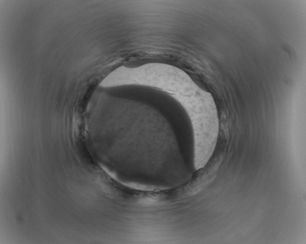 X0000112900235200910021441