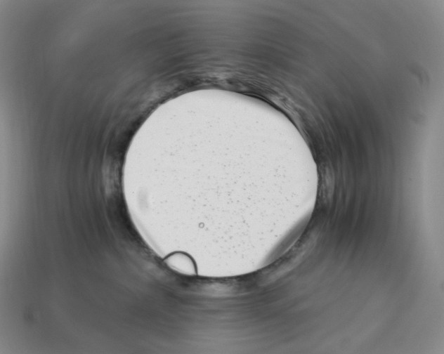 X0000112900236200910021441
