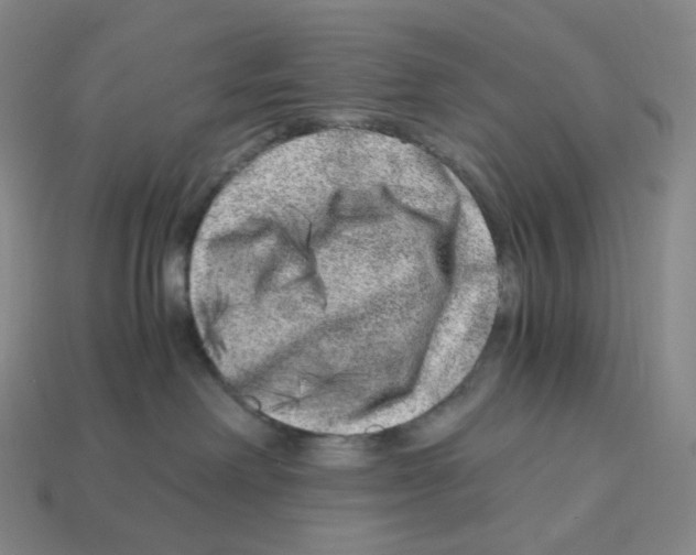 X0000112900238200910021441