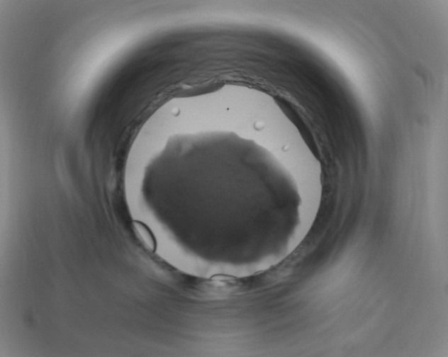 X0000112900239200910021441