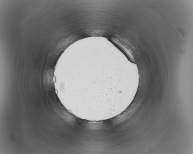 X0000112900240200910021441