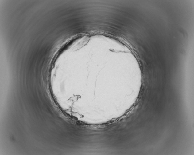 X0000112900241200910021440