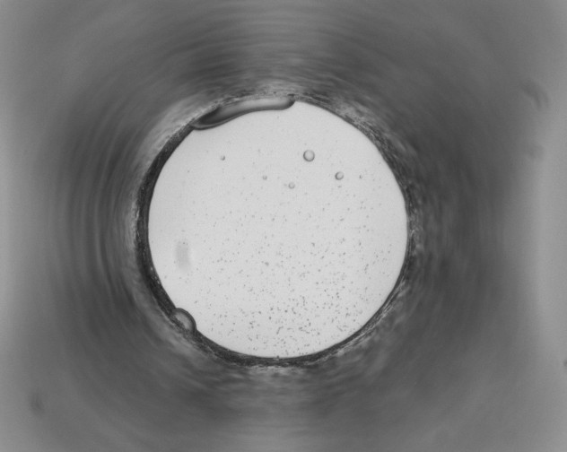 X0000112900242200910021440