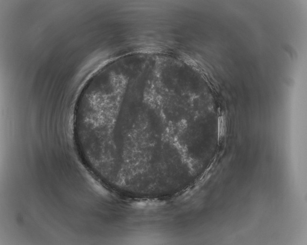 X0000112900243200910021440