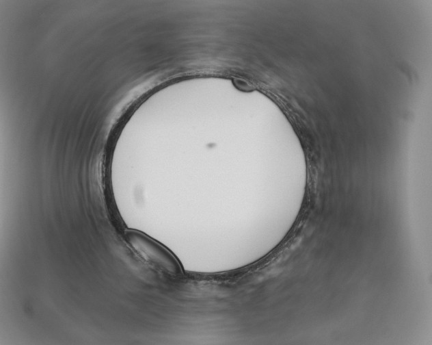 X0000112900244200910021440