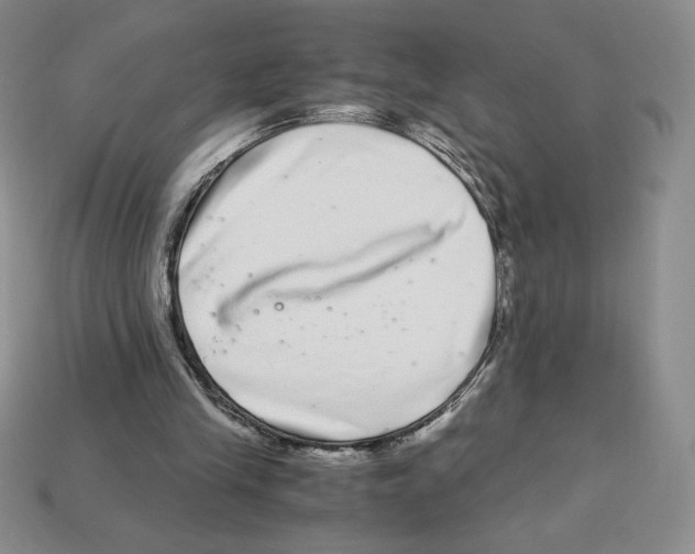 X0000112900245200910021440