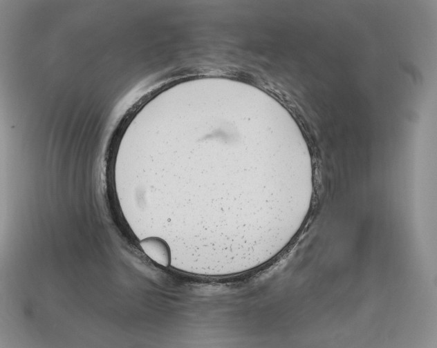 X0000112900246200910021440