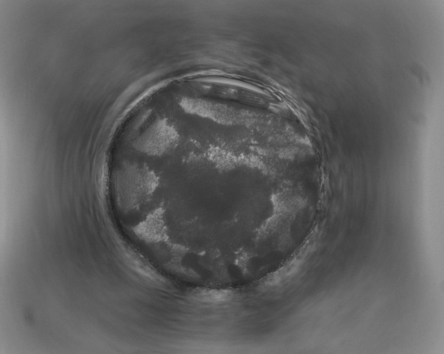 X0000112900247200910021440