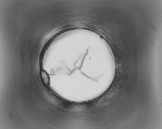X0000112900248200910021440