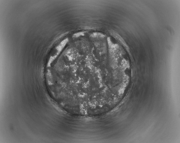 X0000112900249200910021440