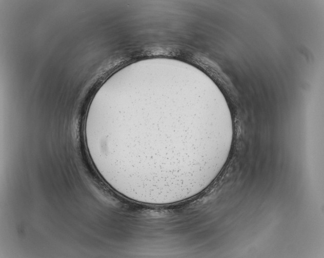 X0000112900250200910021440