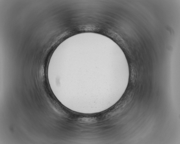 X0000112900251200910021440