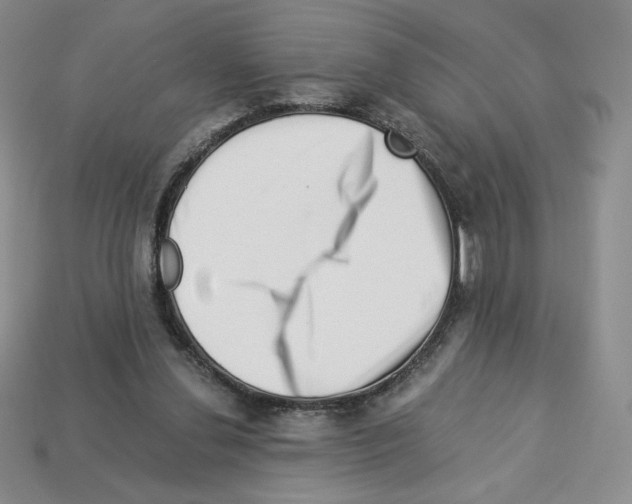 X0000112900252200910021440