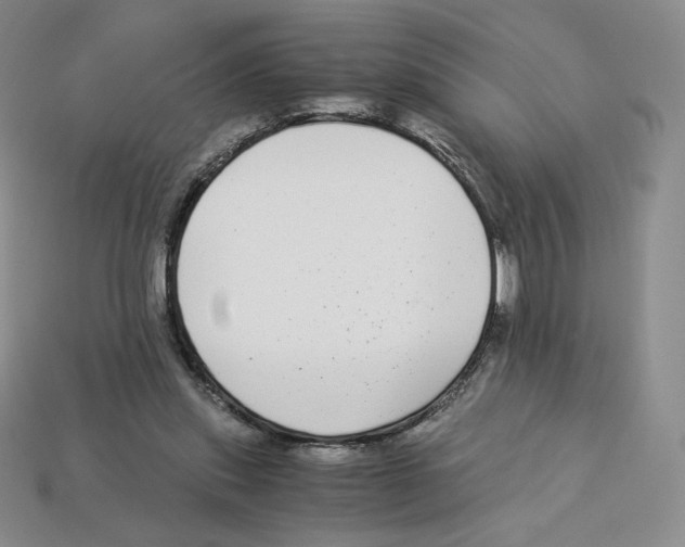 X0000112900253200910021440