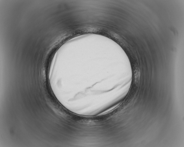 X0000112900254200910021440